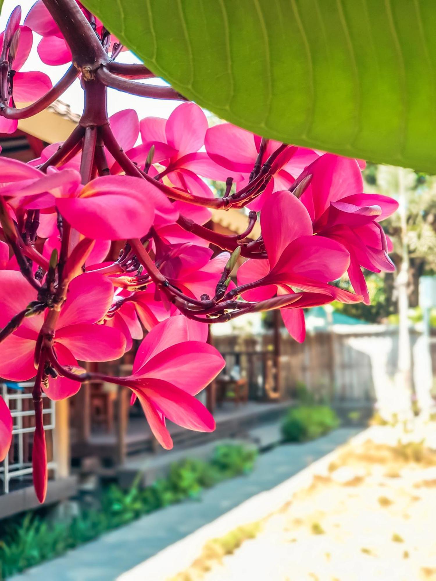 Leaf Coco Bungalow Νησιά Γκίλι Εξωτερικό φωτογραφία