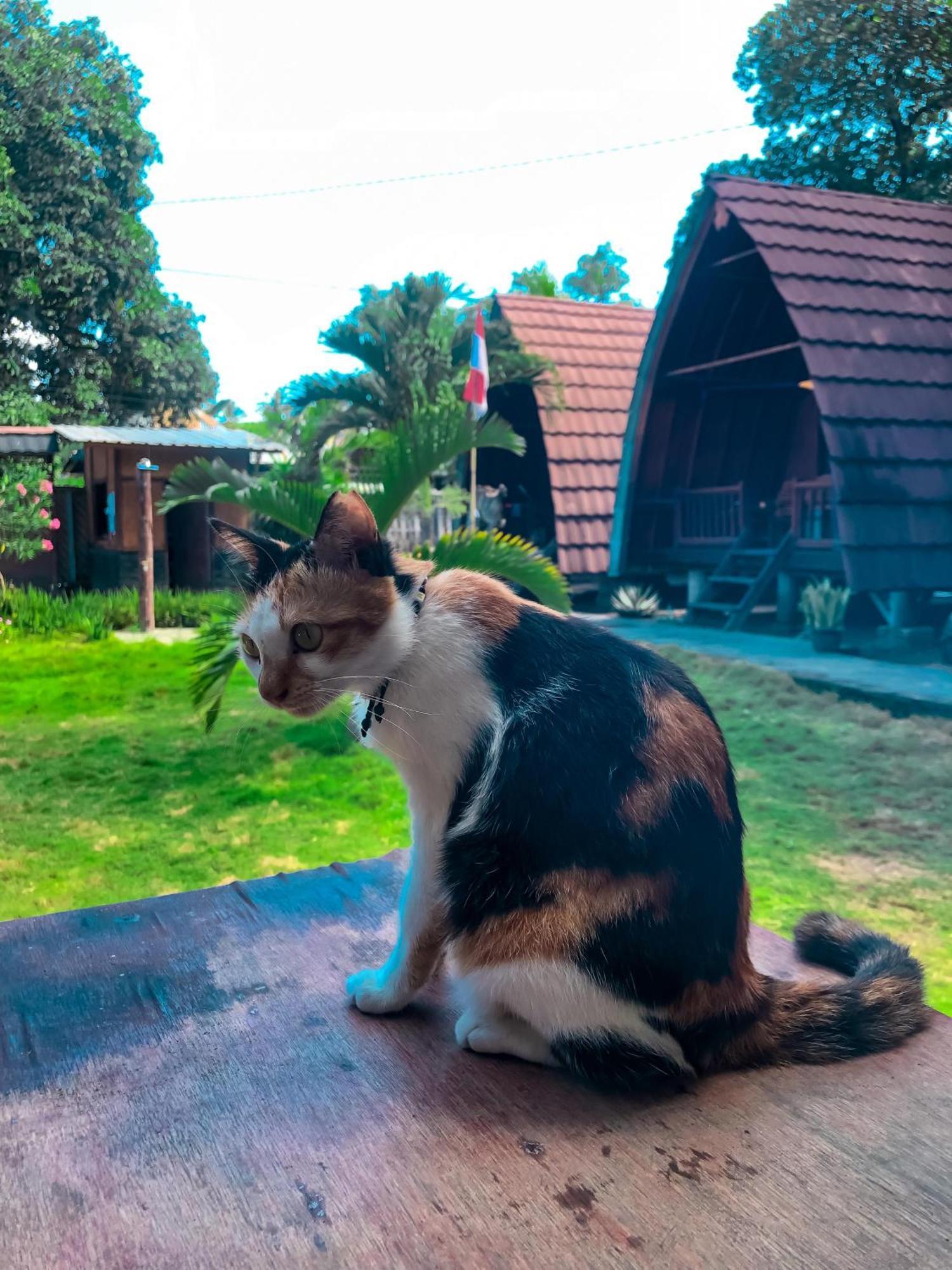Leaf Coco Bungalow Νησιά Γκίλι Εξωτερικό φωτογραφία
