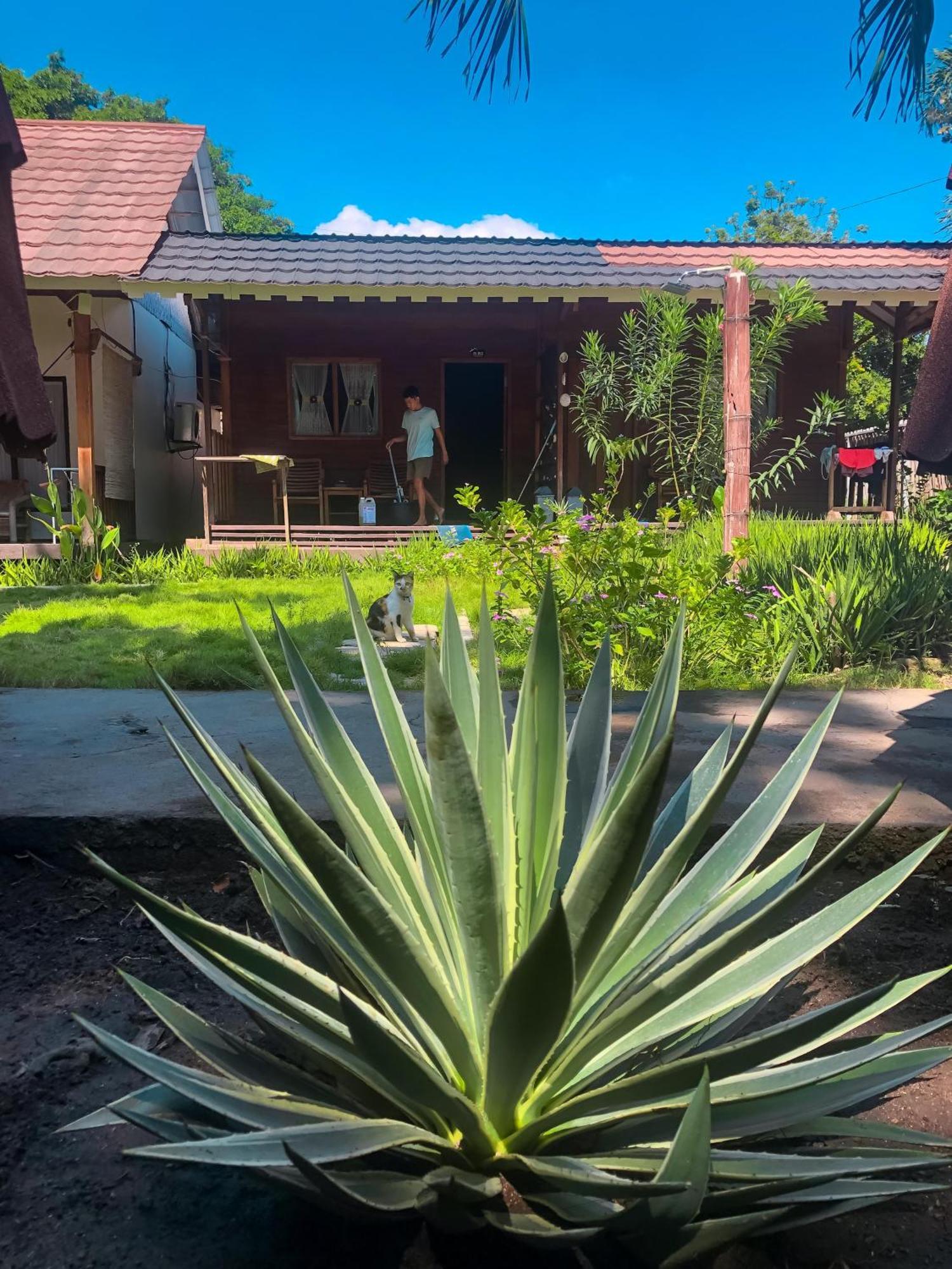 Leaf Coco Bungalow Νησιά Γκίλι Εξωτερικό φωτογραφία